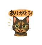 tortoiseshell cats:さび猫スタンプ1（個別スタンプ：1）