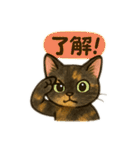 tortoiseshell cats:さび猫スタンプ1（個別スタンプ：2）