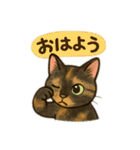 tortoiseshell cats:さび猫スタンプ1（個別スタンプ：4）