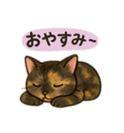 tortoiseshell cats:さび猫スタンプ1（個別スタンプ：5）