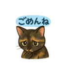 tortoiseshell cats:さび猫スタンプ1（個別スタンプ：8）