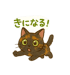 tortoiseshell cats:さび猫スタンプ1（個別スタンプ：22）