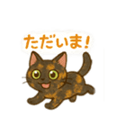 tortoiseshell cats:さび猫スタンプ1（個別スタンプ：24）