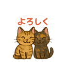 tortoiseshell cats:さび猫スタンプ1（個別スタンプ：26）