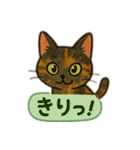 tortoiseshell cats:さび猫スタンプ1（個別スタンプ：28）
