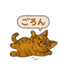 tortoiseshell cats:さび猫スタンプ1（個別スタンプ：39）
