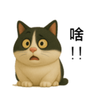 3D牛柄キャットスタンプ（個別スタンプ：10）