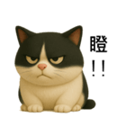 3D牛柄キャットスタンプ（個別スタンプ：11）