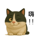 3D牛柄キャットスタンプ（個別スタンプ：12）