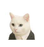 意味深な猫（個別スタンプ：3）