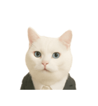 意味深な猫（個別スタンプ：4）