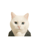 意味深な猫（個別スタンプ：6）
