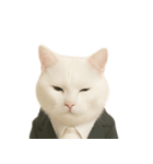 意味深な猫（個別スタンプ：9）