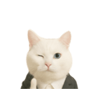 意味深な猫（個別スタンプ：11）
