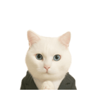 意味深な猫（個別スタンプ：13）