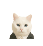 意味深な猫（個別スタンプ：14）