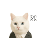 意味深な猫（個別スタンプ：16）