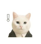 意味深な猫（個別スタンプ：18）