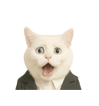 意味深な猫（個別スタンプ：20）
