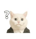 意味深な猫（個別スタンプ：22）