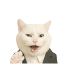 意味深な猫（個別スタンプ：23）