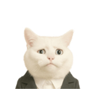 意味深な猫（個別スタンプ：25）
