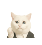 意味深な猫（個別スタンプ：29）