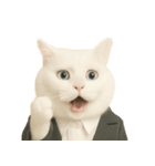意味深な猫（個別スタンプ：31）