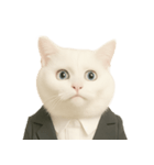 意味深な猫（個別スタンプ：33）