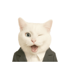 意味深な猫（個別スタンプ：34）