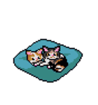 女流棋士・香川愛生 動くドット絵スタンプ（個別スタンプ：13）
