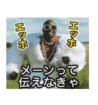 フクロウ100%ラッパー（個別スタンプ：1）