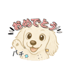 『ミニチュアダックス』のスタンプ❷（個別スタンプ：1）