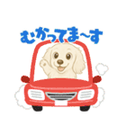 『ミニチュアダックス』のスタンプ❷（個別スタンプ：12）