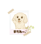 『ミニチュアダックス』のスタンプ❷（個別スタンプ：14）