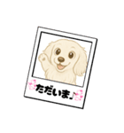 『ミニチュアダックス』のスタンプ❷（個別スタンプ：30）