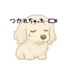 『ミニチュアダックス』のスタンプ❷（個別スタンプ：31）