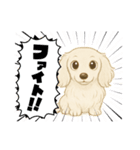 『ミニチュアダックス』のスタンプ❷（個別スタンプ：36）
