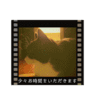 猫達の日常・のりこむぎ6（個別スタンプ：4）