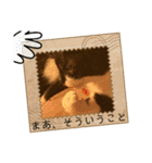 猫達の日常・のりこむぎ6（個別スタンプ：6）
