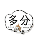 猫達の日常・のりこむぎ6（個別スタンプ：8）