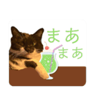 猫達の日常・のりこむぎ6（個別スタンプ：14）