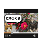 猫達の日常・のりこむぎ6（個別スタンプ：17）