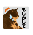 猫達の日常・のりこむぎ6（個別スタンプ：18）
