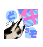 猫達の日常・のりこむぎ6（個別スタンプ：25）