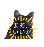 猫達の日常・のりこむぎ6（個別スタンプ：27）
