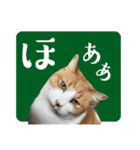 猫達の日常・のりこむぎ6（個別スタンプ：30）