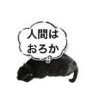 猫達の日常・のりこむぎ6（個別スタンプ：36）