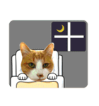 猫達の日常・のりこむぎ6（個別スタンプ：40）