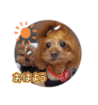ange⑫（個別スタンプ：5）